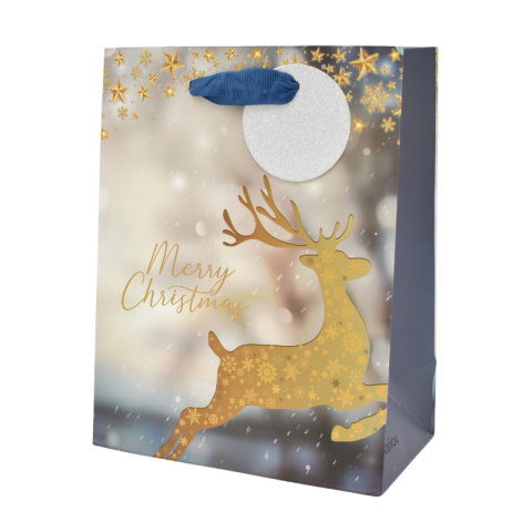 Punga cadou Craciun hartie 18x23x10 cm [1]