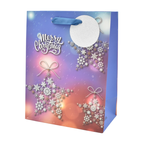 Punga cadou Craciun hartie 18x23x10 cm [2]