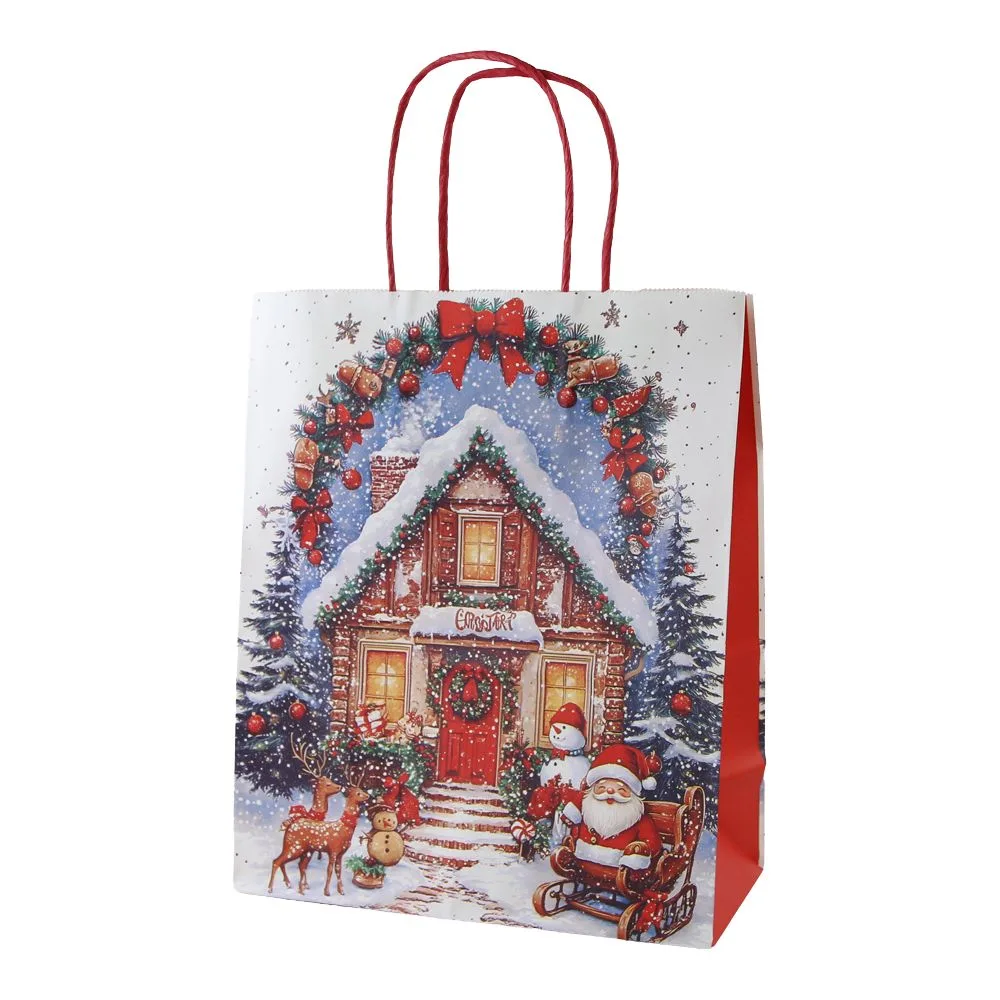 Punga cadou de Craciun din hartie 22 x 11 x 27 cm Mos Craciun si coronita modele diverse [5]