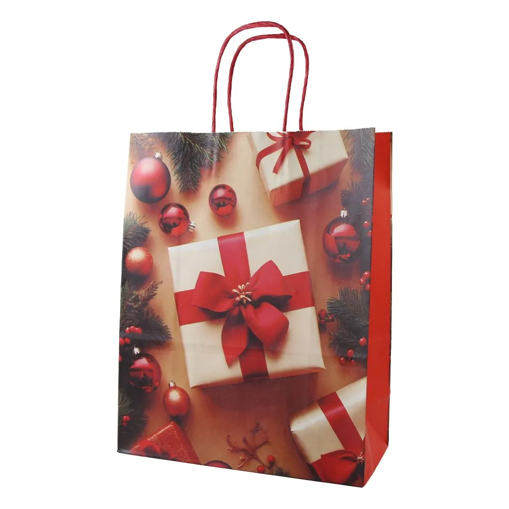 Punga cadou de Craciun din hartie 26 x 12 x 33 cm cu cadouri [2]