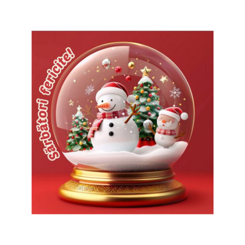 Noutăți Librăria Compas - Punga cadou Craciun 30x30x20cm