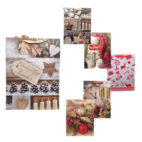 Accesorii pentru impachetat - Punga cadou Sarbatori de iarna din carton 40x30 cm modele diferite