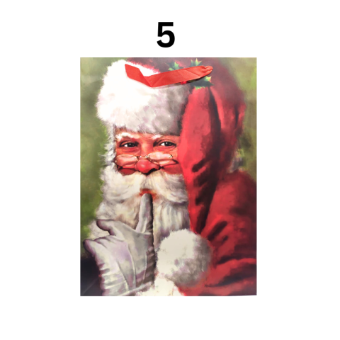 Punga cadou Sarbatori de iarna din carton 40x30 cm modele diferite [5]