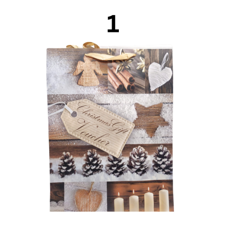 Punga cadou Sarbatori de iarna din carton 40x30 cm modele diferite [1]