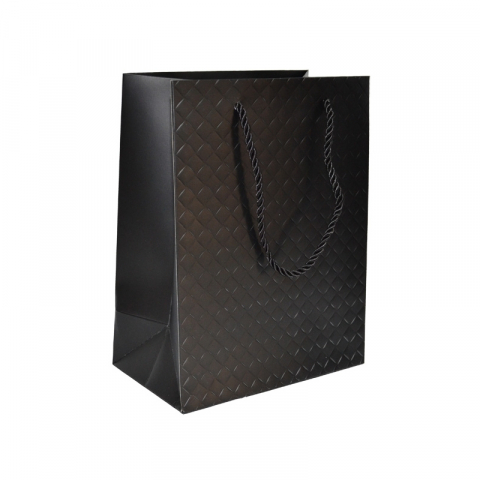 Punga cadou unicolora premium 18x23x10 cm [1]