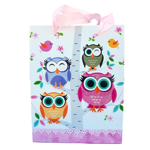 Punga hartie 18x23 cm bufnite diverse culori [3]