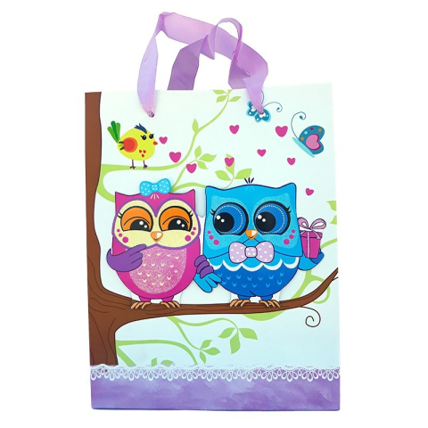 Punga hartie 18x23 cm bufnite diverse culori [4]