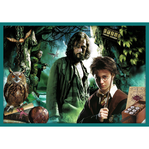 PUZZLE TREFL 10IN1 HARRY POTTER IN LUMEA LUI HARRY POTTER [6]