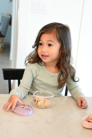 RECIPIENT HRANA BEBE, MELII, MODEL PISICA [3]