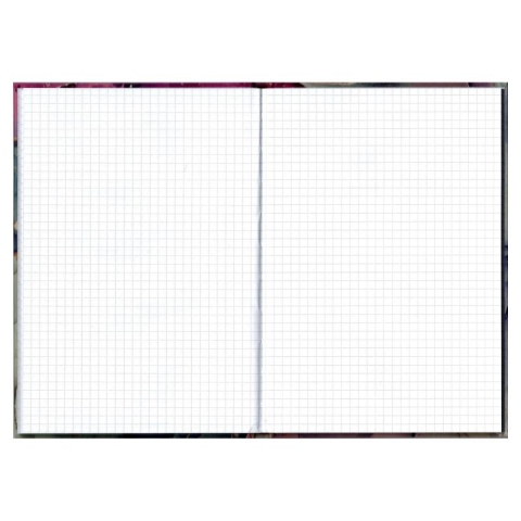 Registru A4 192 file matematica monocrom Educa [2]