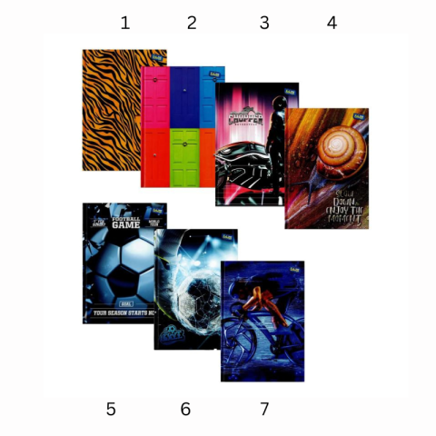 Registru A5 96 file aritmetica diverse modele Educa [1]