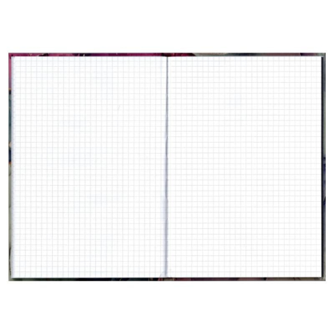 Registru A5 Educa 96 file matematica diferite modele [2]