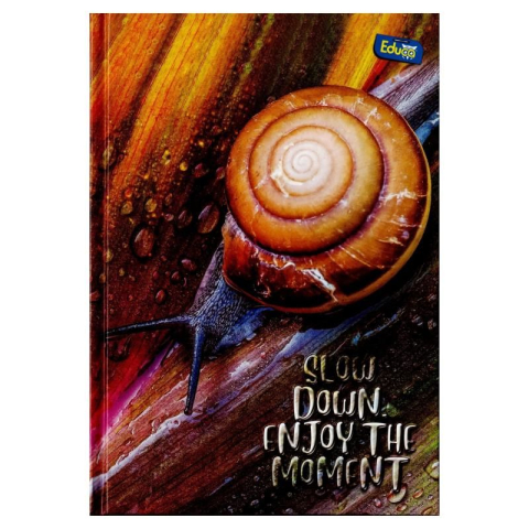 Registru A5 Educa 96 file matematica diferite modele [9]