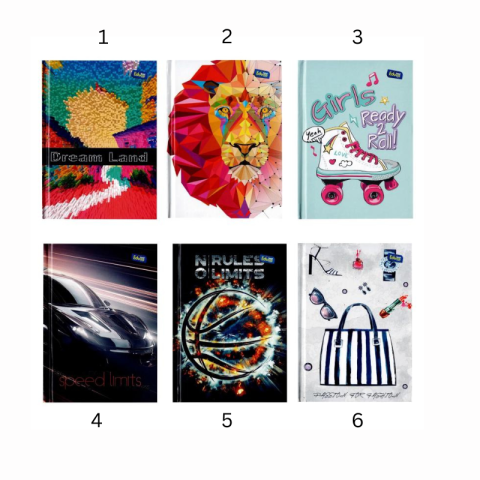 Registrul Educa A6 matematica 96 file modele diferite [1]