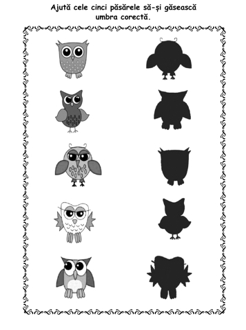 Rezolvam si coloram [4]