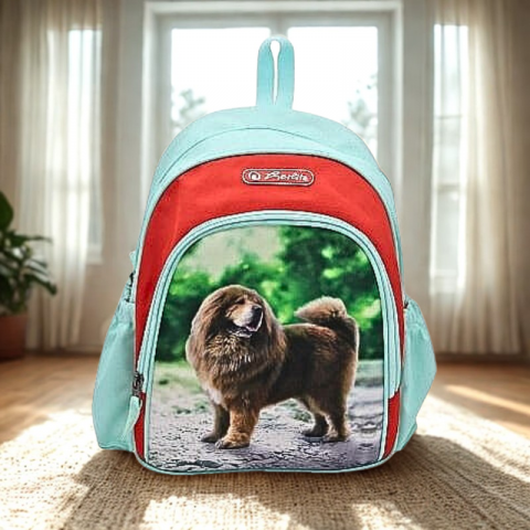 Rucsac gradinita turcoaz 31 cm Herlitz [1]