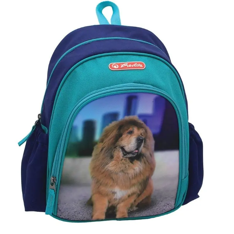 Ghiozdane pentru grădinită - Rucsac Herlitz Cool Boss Phantom 7L