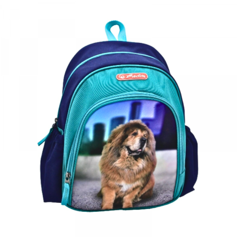 Ghiozdane pentru grădinită - Rucsac gradinita Herlitz albastru 31 cm