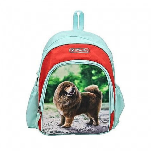 Ghiozdane pentru grădinită - Rucsac gradinita turcoaz 31 cm Herlitz