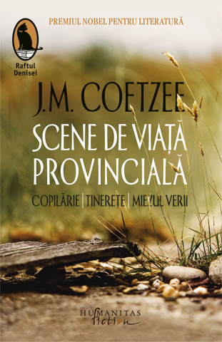 Literatură modernă și contemporană - Scene de viata provinciala. Copilarie. Tinerete. Miezul verii - J.M. Coetzee