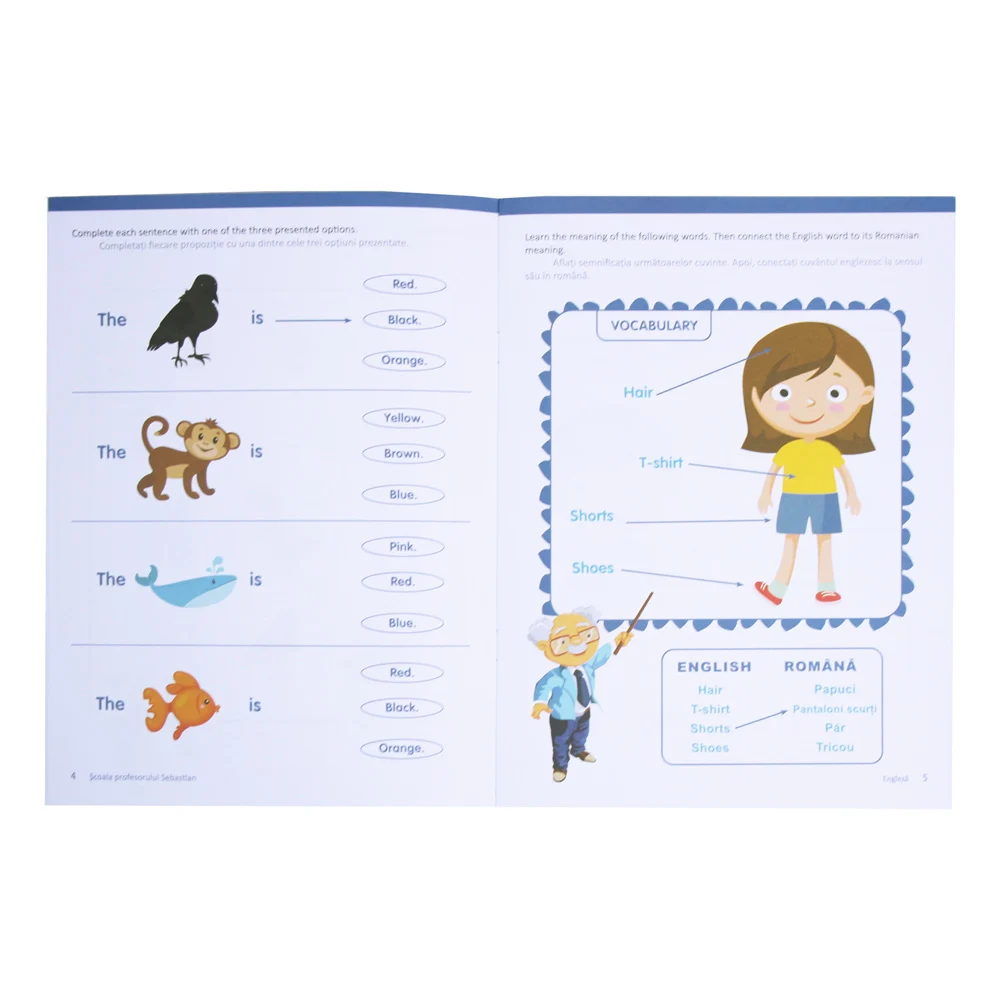 Scoala Profesorului Sebastian - Engleza [1]