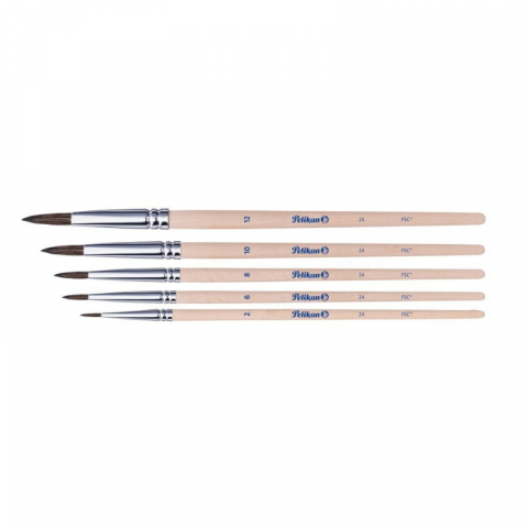 Set 5 pensule Starter varf rotund, blister [1]