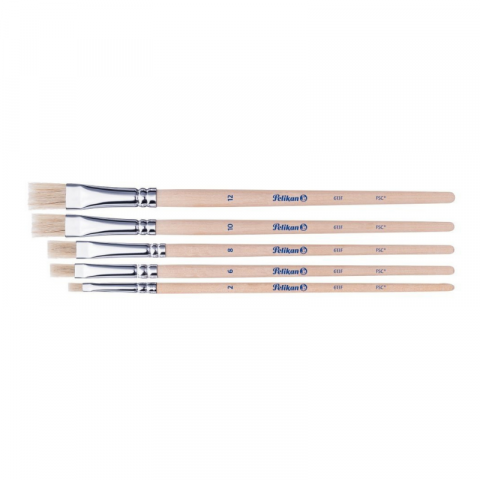 Set 5 pensule Starter varf lat blister [1]