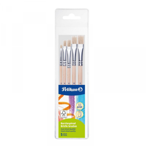Pensule școlare - Set 5 pensule Starter varf lat blister