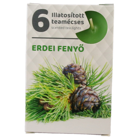 Noutăți Librăria Compas - Set 6 lumanari pastila parfumate brad 3.8 cm