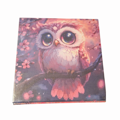Set creativitate cu diamante cal Duoguo 30x30cm [6]