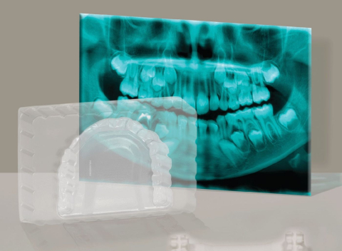 SET EDUCATIONAL LA DENTIST [3]