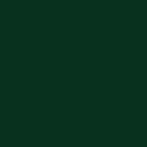 Vopsea spray Kobra HP 1370 Verde inchis 400 ml [1]