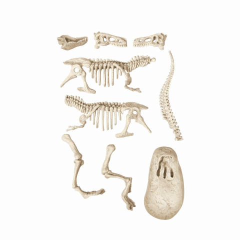 STIINTA SI JOACA DESCOPERA DINOZAURUL T-REX FLUO [2]