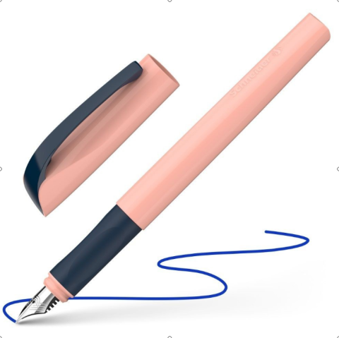 Instrumente de scris - Stilou Schneider Xpect penita M Apricot