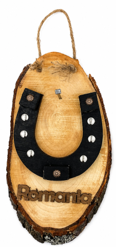 Ornamente și figurine decorative - Suport cheie cu potcoava