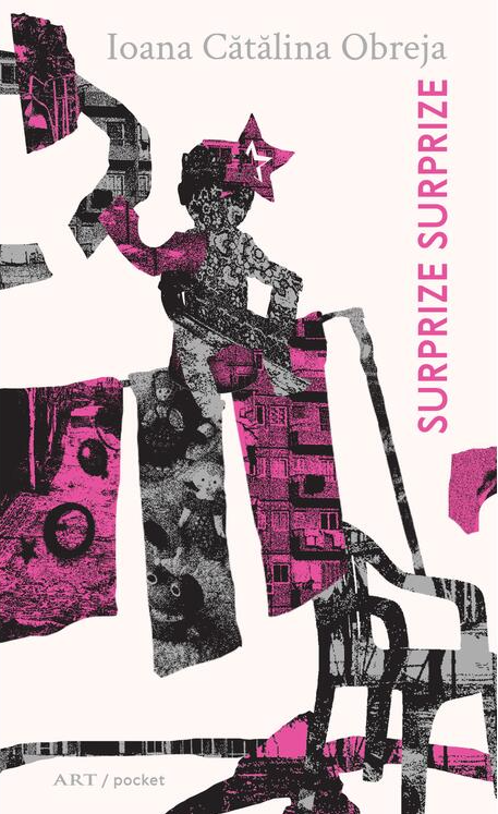Romane și literatură - Surprize surprize - Ioana Catalina Obreja