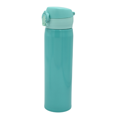 Termos metalic 480ml diverse culori [1]