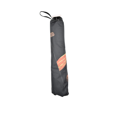 Umbrela pliabila cu husa 93x64/24cm flori [1]