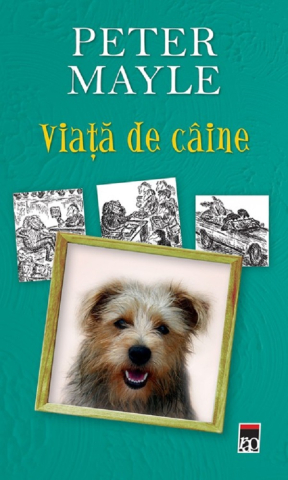 Cărți - Viata de caine - Peter Mayle
