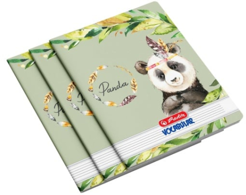Vocabular 24 file A4 diverse motive Herlitz [2]