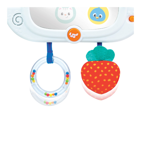 WINFUN JUCARIE IEPURAS [6]