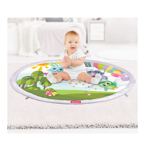 WINFUN SALTELUTA CU ACTIVITATI [4]