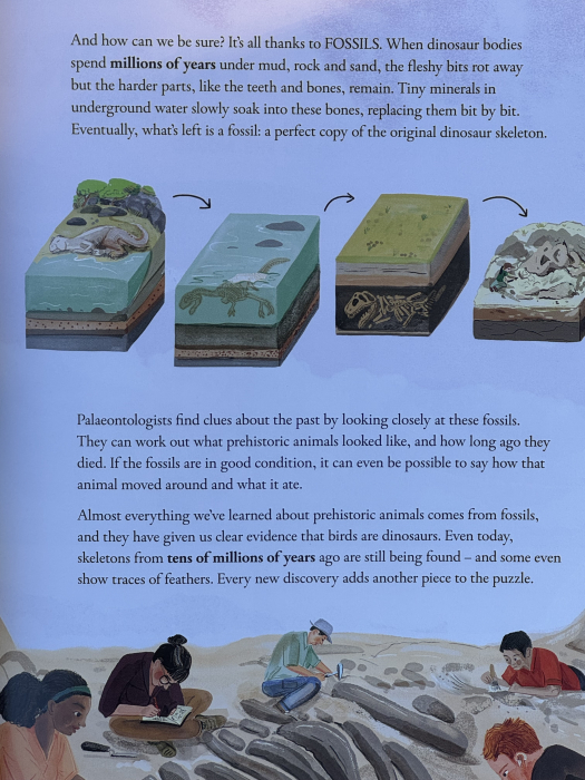 Enciclopedie copii Chickens and Other Dinosaurs de Ben Lerwill Libraria Exploratorilor [5]