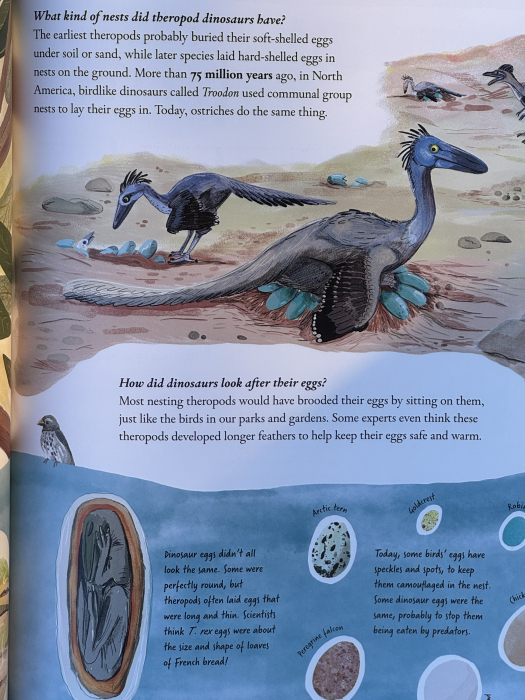 Enciclopedie copii Chickens and Other Dinosaurs de Ben Lerwill Libraria Exploratorilor [8]