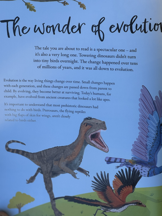 Enciclopedie copii Chickens and Other Dinosaurs de Ben Lerwill Libraria Exploratorilor [4]