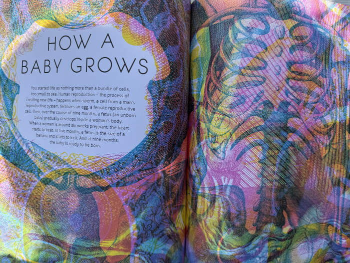 Carte interactiva Illumanatomy de Kate Davies si Carnovsky Libraria Exploratorilor [3]