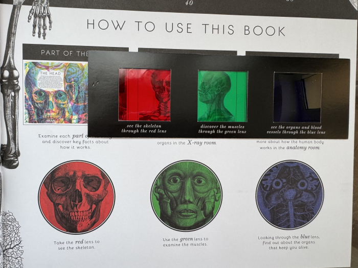 Carte interactiva Illumanatomy de Kate Davies si Carnovsky Libraria Exploratorilor [2]