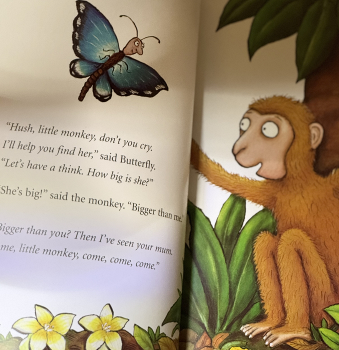 Monkey Puzzle – Julia Donaldson & Axel Scheffler | Carte ilustrată pentru copii [4]