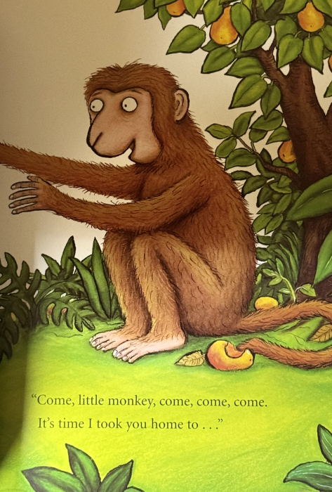 Monkey Puzzle – Julia Donaldson & Axel Scheffler | Carte ilustrată pentru copii [5]