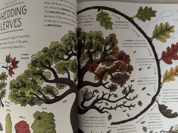 Enciclopedie premium de stiinta Nature Explained de Helen Brown si Claire Scully Libraria Exploratorilor [2]